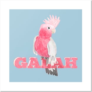 Pink Galah Posters and Art